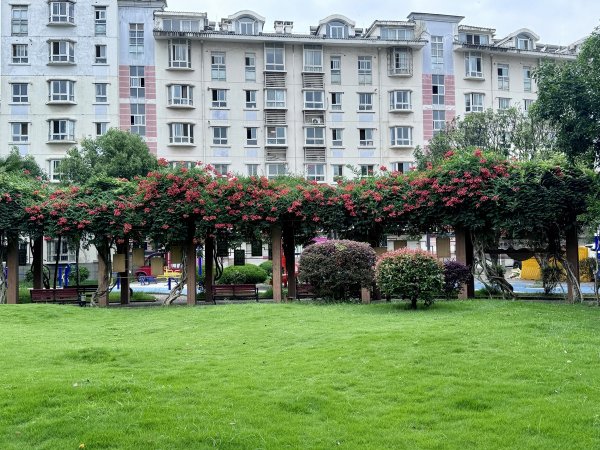 百家乐正规平台官方版 物业费0.8元/经常米, 通顺24年未加价, 武汉这个矿藏小区二手房价远超相近新楼盘