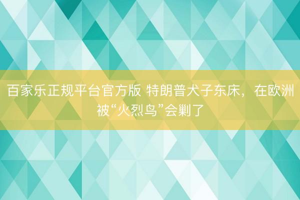 百家乐正规平台官方版 特朗普犬子东床，在欧洲被“火烈鸟”会剿了